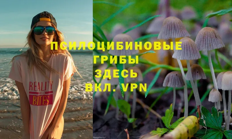 Псилоцибиновые грибы Magic Shrooms  ссылка на мегу вход  Курлово 